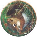 1995 New Hampshire Collector Series > Series 2 White Mountains Wildlife Collection Red-Squirrel.