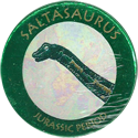 The Dinosaur Collection 6-4-saltasaurus.