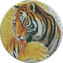 Texaco > Predators 03-Indian-tiger.